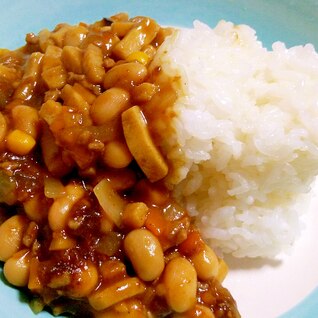 大豆と高野豆腐のカレー